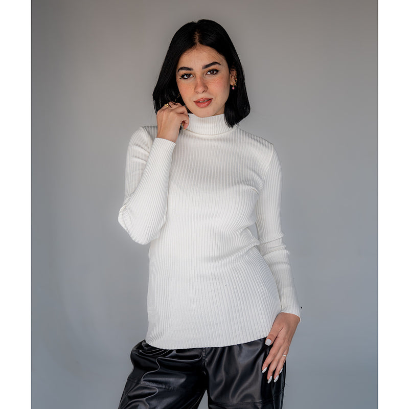 Turtle neck ribbed sweater